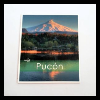 INSIDE PUCON