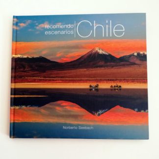 RECORRIENDO CHILE ESCENARIOS